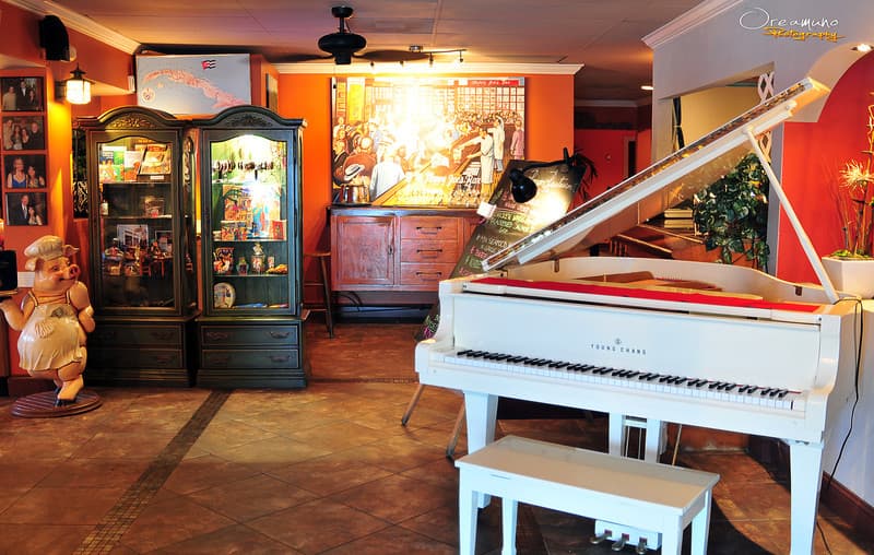 Piano & Live Music